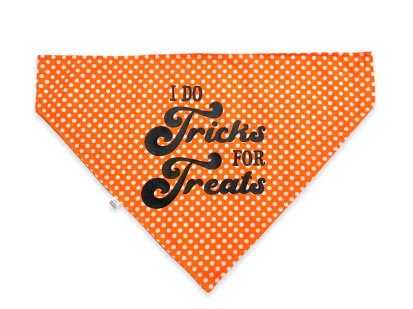 tricks for treats pet bandana