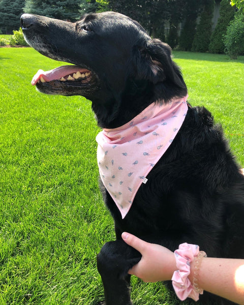 pink pineapples pet bandana