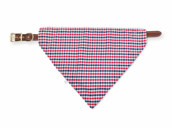 red & navy gingham pet bandana