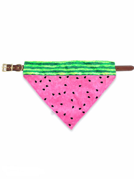 watermelon pet bandana