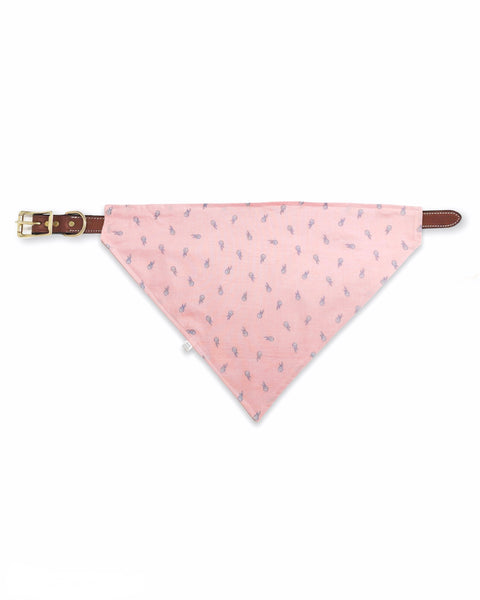 pink pineapples pet bandana