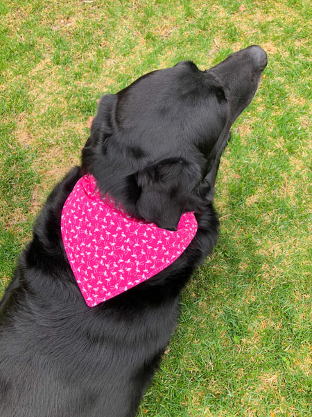 pink flamingo pet bandana