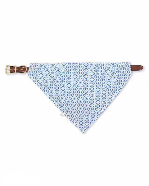 navy sand dollar pet bandana