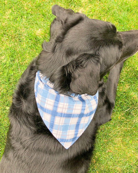 blue plaid pet bandana