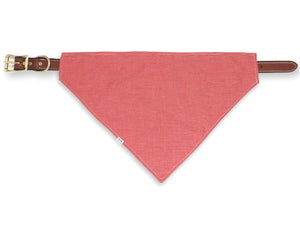 red gingham pet bandana