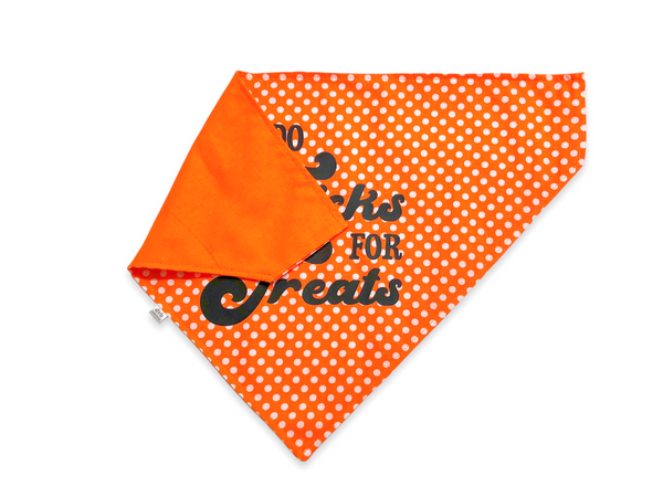 tricks for treats pet bandana