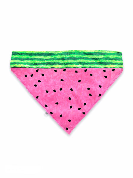 watermelon pet bandana