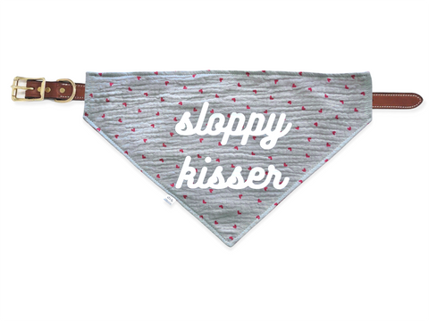 grey hearts pet bandana