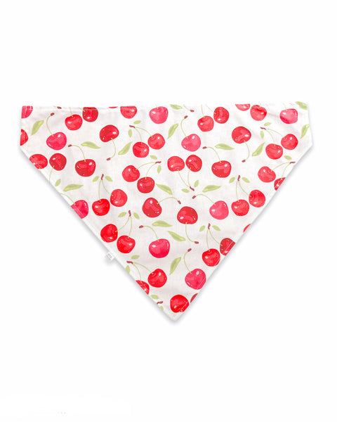 cherry pet bandana