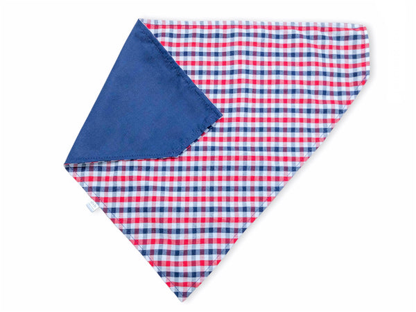 red & navy gingham pet bandana