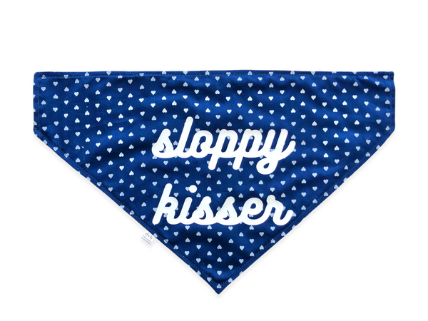 navy hearts pet bandana