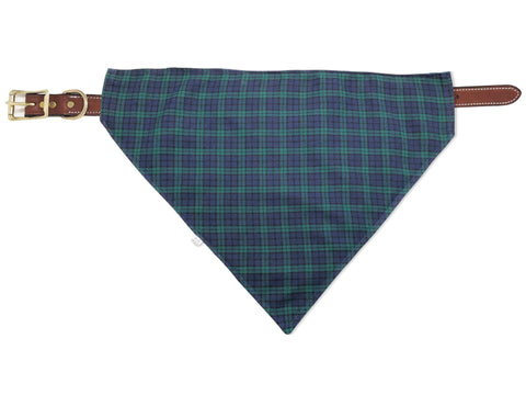 navy & green tartan pet bandana