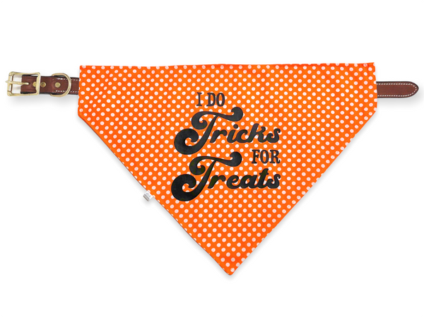 tricks for treats pet bandana