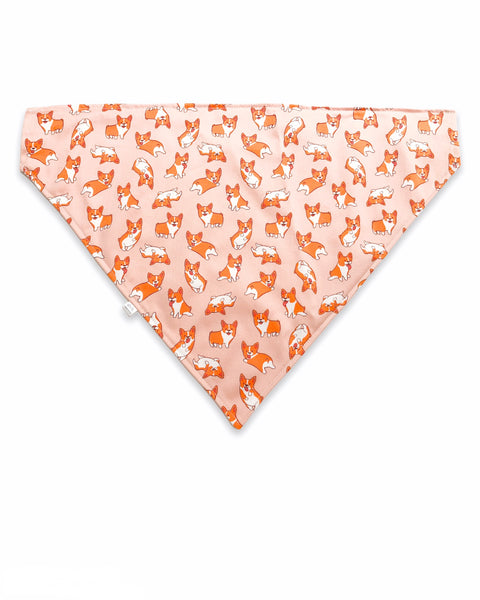 corgi pet bandana