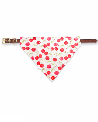 cherry pet bandana