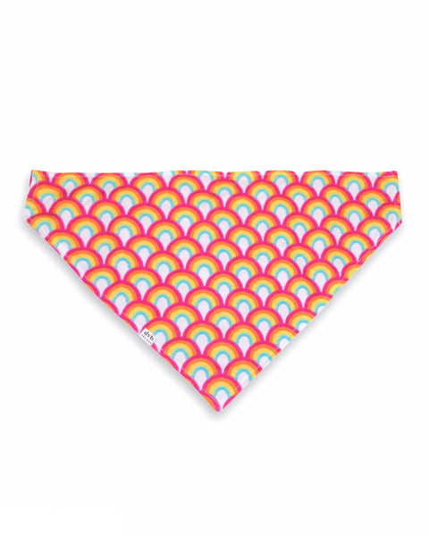 rainbow pet bandana