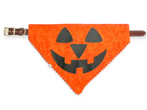 pumpkin pet bandana