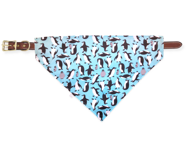 penguin pet bandana