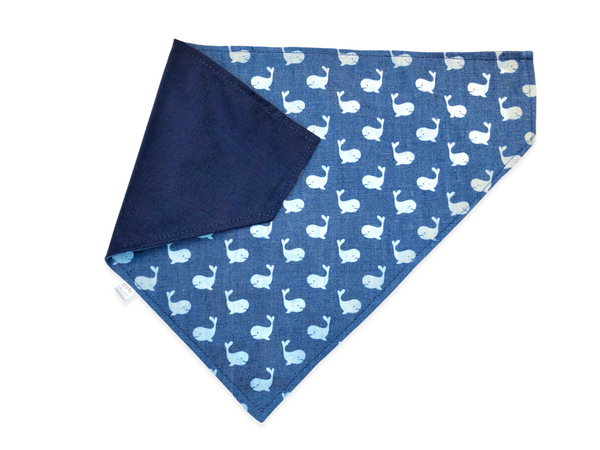 whale pet bandana