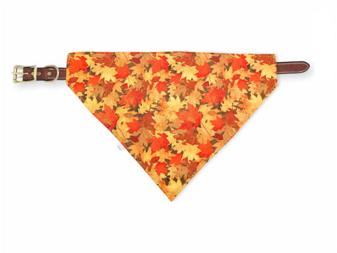 leaves pet bandana