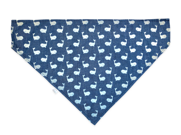 whale pet bandana