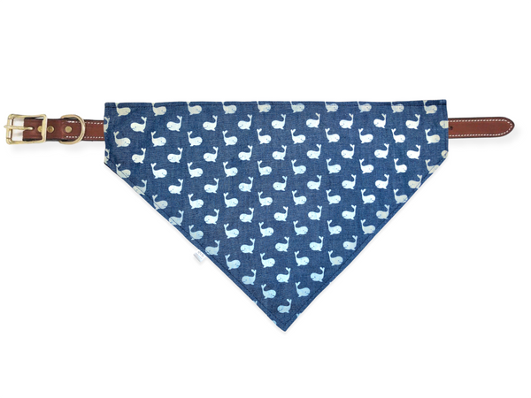 whale pet bandana